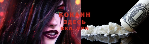 spice Верея