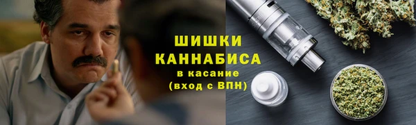spice Верея