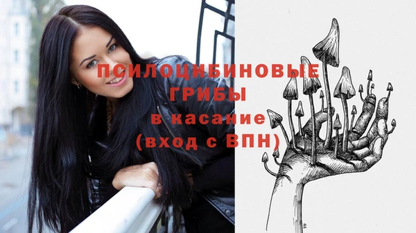 а пвп мука Верхний Тагил