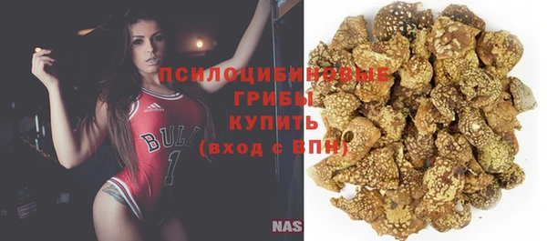 spice Верея