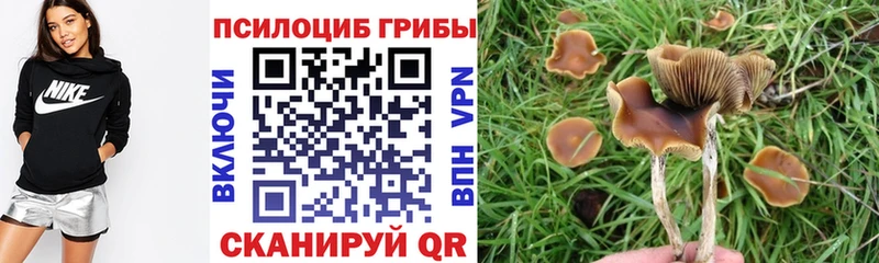 ссылка на мегу маркетплейс  Канск  Галлюциногенные грибы Magic Shrooms  что такое наркотик 